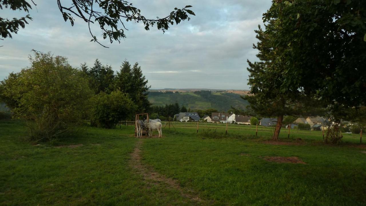 Appartamento Kuenstlerhaeuschen Oberwesel Esterno foto